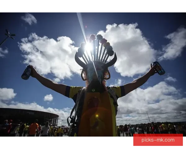 世界杯竞猜稳定平台推荐，助力球迷精准投注赢大奖